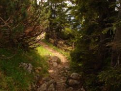 2013-08-25_Risserkogel (113).JPG
